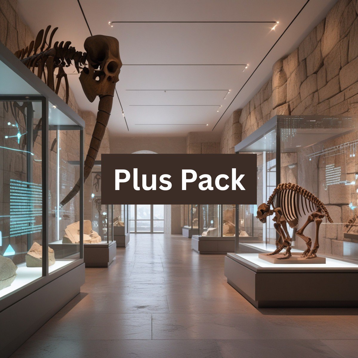 Plus Pack