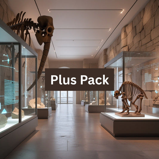 Plus Pack