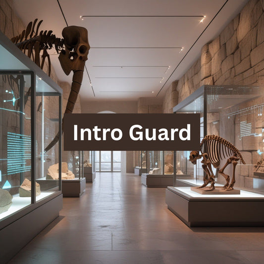 Intro Guard